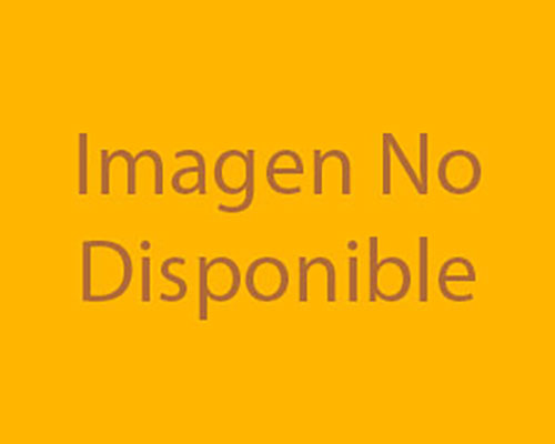 KIT REPARACION PARA REGADOR FRONTAL/TRASERO BC2410